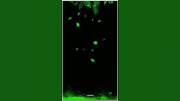 avee player template new|black screen template|green screen template|tree leaf background video|#srt