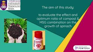 Effect On Combination Of Compost And Msg Towards Spinach