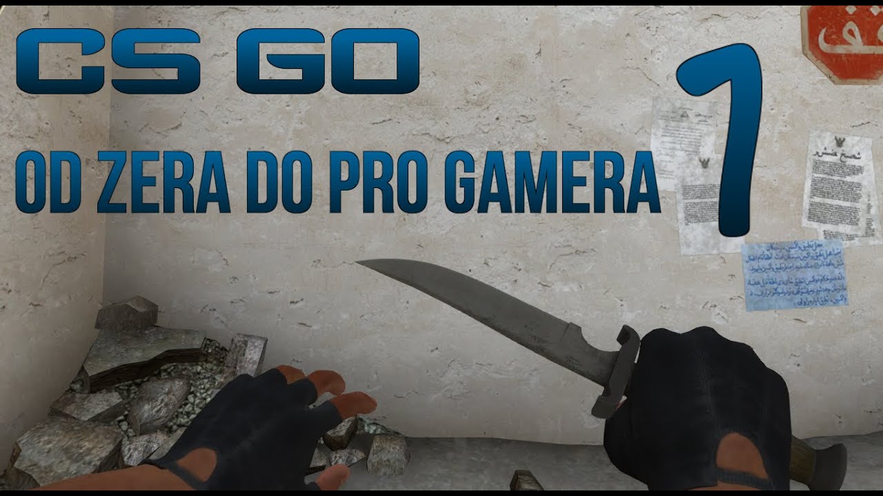 How much money does a pro gamer make maximumfeti