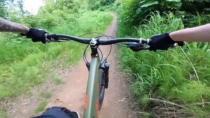 Hanging Chad. Kincaid park MTB trails!