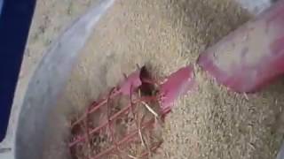 Podsumowanko Roku 2013 U Tomsona402 Ursus 914 Ursus 1614 Case 5140 Bizon Super