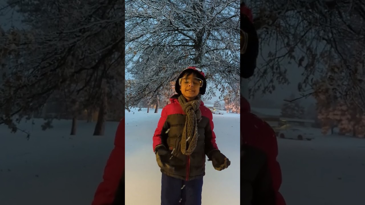 Snowstorm 🌨️ safety tips