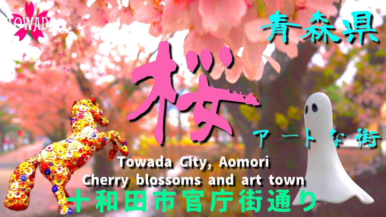 只今から2日間だけの土日【祭典企画】特割 ★片倉 シルク キャンピングカー♪ Sakurafubuki