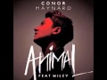 Animal  conor maynard ft wiley