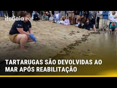 TARTARUGAS REABILITADAS SÃO DEVOLVIDAS AO MAR