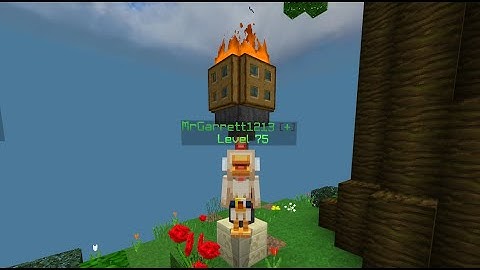 Level 75 on Hive DeathRun