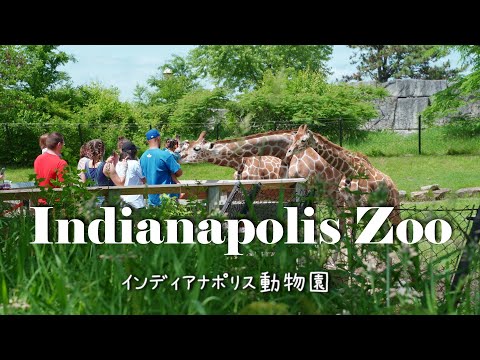 Vidéo: Les meilleurs parcs à Indianapolis, Indiana