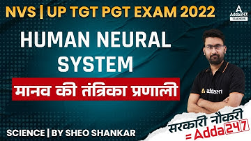 UP TGT PGT Science Classes 2022 | UP TGT PGT Science | Human Neural System