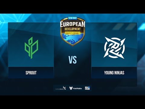 sprout vs 1win