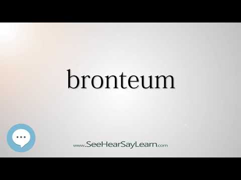 Video: Wat betekent bronteum?
