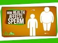 How health affects sperm