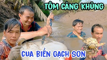 Được Đạt Nguyễn Cần Giờ dắt ba anh em đi mò tôm càng xanh đủ loại hải sản tôm cua cá