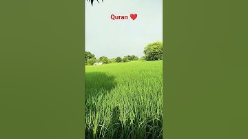 AL-IKHLAS (سورة الاخلاص) - Egzon Ibrahimi #egzonibrahimi #ikhlas #سورة_الإخلاص @ShadabKhan073