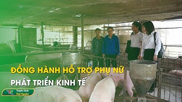Đồng hành hỗ trợ phụ nữ phát triển kinh tế | Thái Nguyên TV