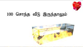 Cooler box ll funny but true ll quotes ll life quotes ll
