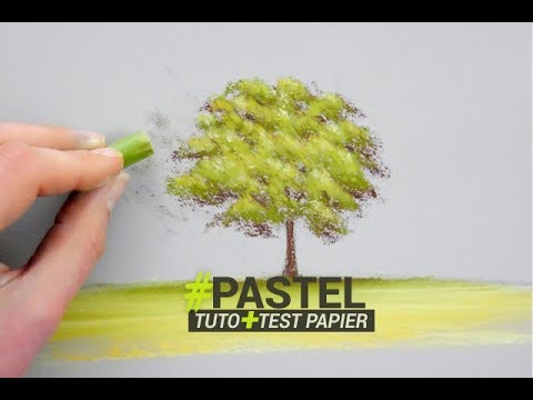 Peindre Un Arbre Au Pastel Tuto Et Test Papier