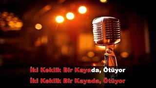 İki keklik / Mary Jane / karaoke Resimi