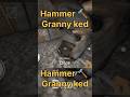 Hammer  Granny Ked || Granny ko Door me fasana || Granny Kese Khelte Hai || #granny #shorts #game