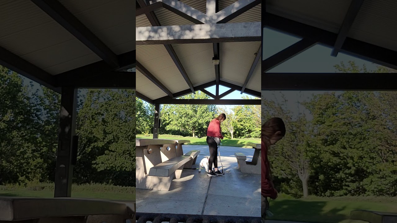 Beginning steps to the 'Switch' command/ Sherman