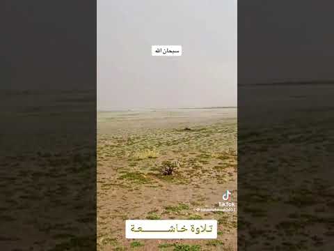 تلاوة خاشعة ويوم تشقق السماء بالغمام ون زل الملائكة تنزيلا