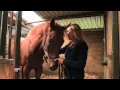 Comment créer un lien avec votre cheval ? - Equidia Life