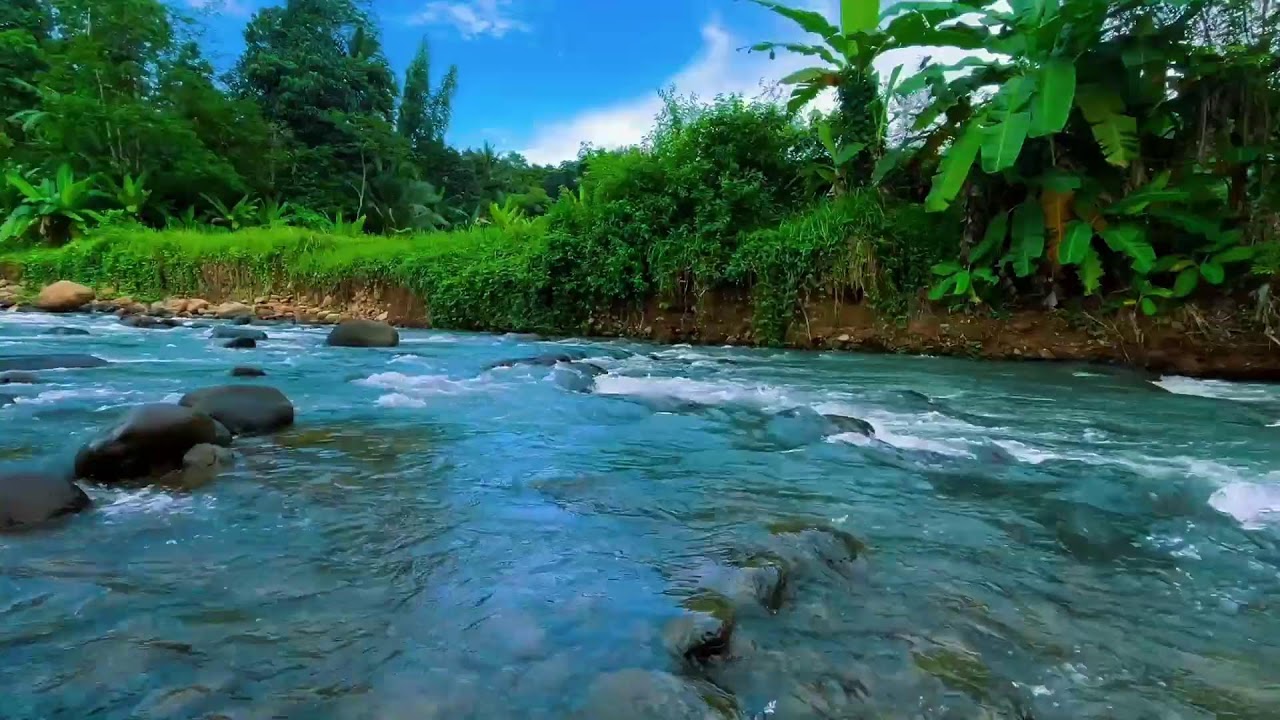 Relaxing Natural River Sound , Flowing Water, White Noise For Sleeping, Nature Sounds Relax 12 Hours