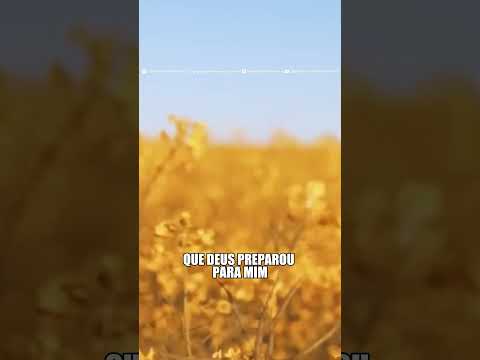 🎶 É lindo, é lindo sim - ICM