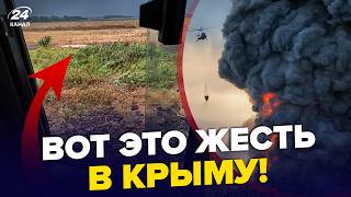 🚨Крым, ЧП! Местные ТРУБЯТ об ЭТОМ. Урожая НЕТ, ДАЛЬШЕ – ХУЖЕ. Гляньте, какая ЖЕСТЬ там СЕЙЧАС