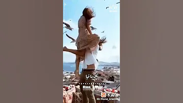 ٧ سبتمبر ٢٠٢٢ 