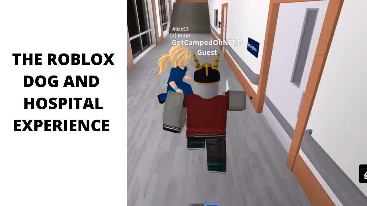 roblox-dog-and-hospital-experience-youtube