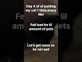 Petting my cat day 4 #fypシ #beats #shorts