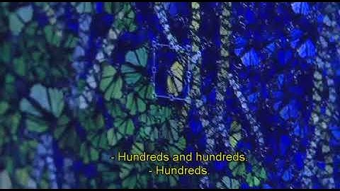 interchange 3  unit 9  video 10