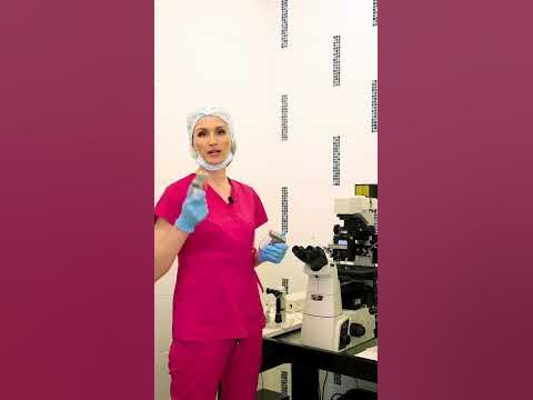 ИКСИ — метод оплодотворения при мужском факторе бесплодия #беременность ...