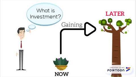 Investment Definition and Meaning - Nature and Scope of Investment | INVESTMENT MANAGEMENT