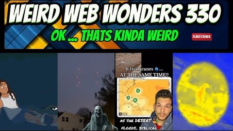 weird web wonders 330 ( no more door sample )