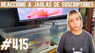 REACCIONO a JAULAS para HAMSTER de SUSCRIPTORES by Pequeños Roedores 863 views 2 months ago 16 minutes