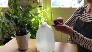 Hangry Plant Conventional Dinner Prep - Featuring Marys Alpaca Poop