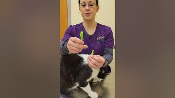 Tick Removal using the Tick Tornado