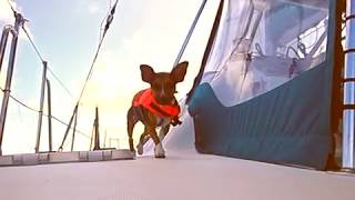 While under sail, Shanti spreads her love