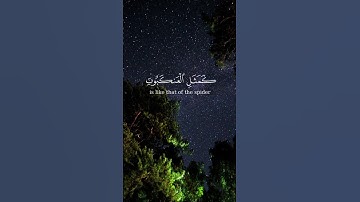 لا إله إلا الله 🤍#العيد #اذكروا_الله #ياسر_الدوسري#تلاوة_خاشعة #القرآن_الكريم#quran#تلاوات #اكسبلور