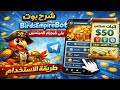 شرح بوت BirdsEmpireBot على تليجرام للمبتدئين | طريقة الاستخدام