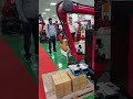 Palletizing robot #industrialrobot #sixaxisrobot #automation