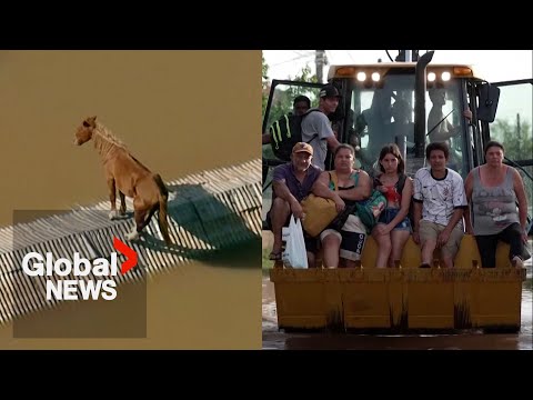 Brazil floods: Animals stranded, families displaced as heavy rains continue