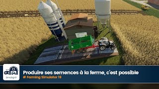 La Production De Semences À La Ferme Sinvite Sur Fs 19