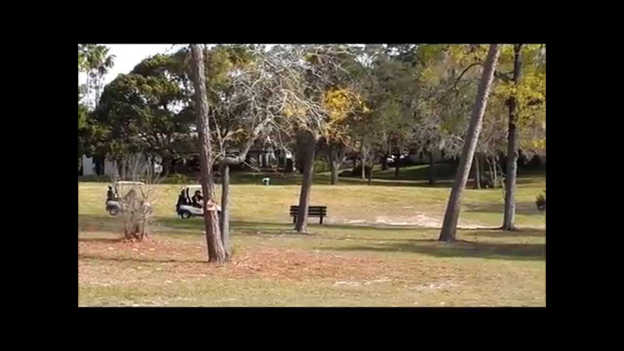 Spring Hill Pool Home for Sale Oak Hills Golf Course YouTube