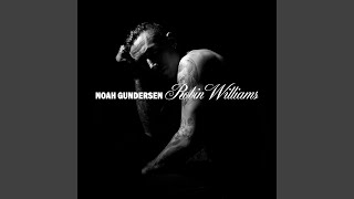 Robin Williams Wealth