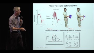Daniel Wolpert - Probabilistic models of sensorimotor control (CCN 2017)