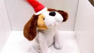 Santa Dog