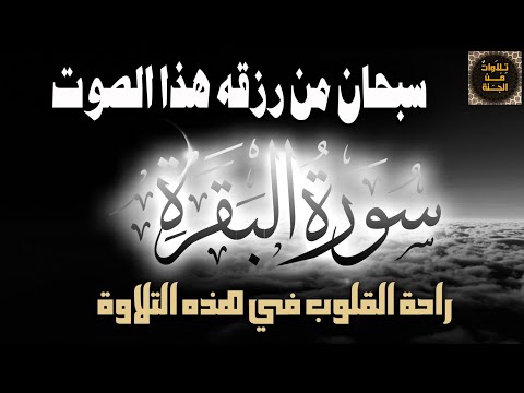 قرآن كريم بصوت جميل جدا جدا سورة البقرة بصوت الشيخ سعيد جمعة 