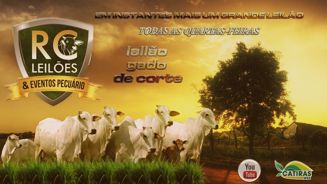 RC LEILÕES E EVENTOS PECUÁRIOS -  CATALÃO - GO - 04 DE MARÇO DE 2026.